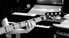 STENBACK BASS